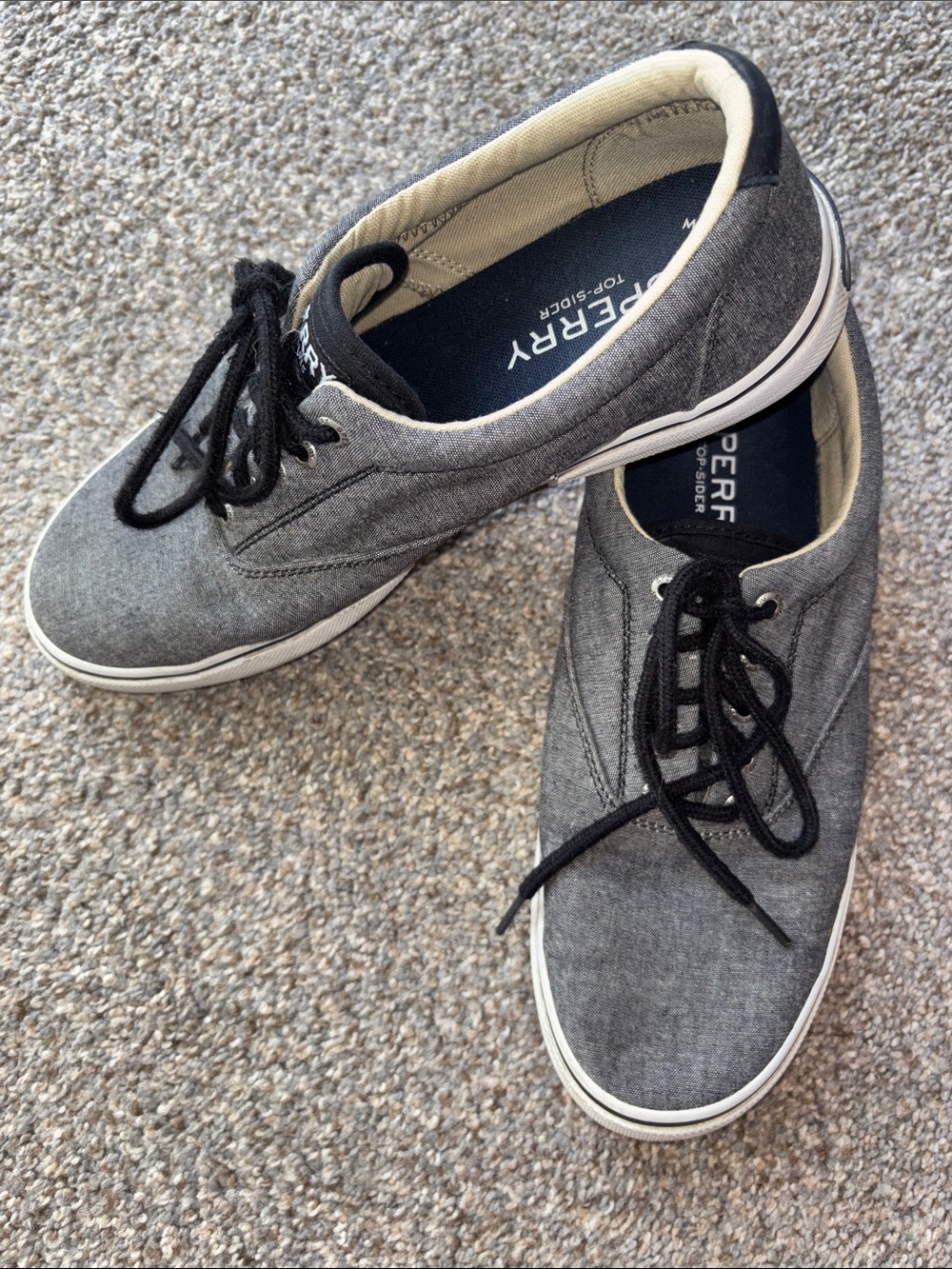 Sperry Men’s Gray Canvas Lace-Up Sneakers with Black Laces